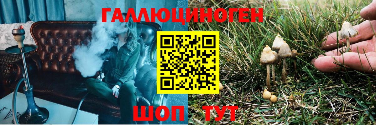 Псилоцибиновые грибы Psilocybine cubensis Аша